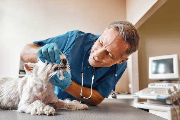 Best Emergency TMJ Treatment in Pauls Valley, OK