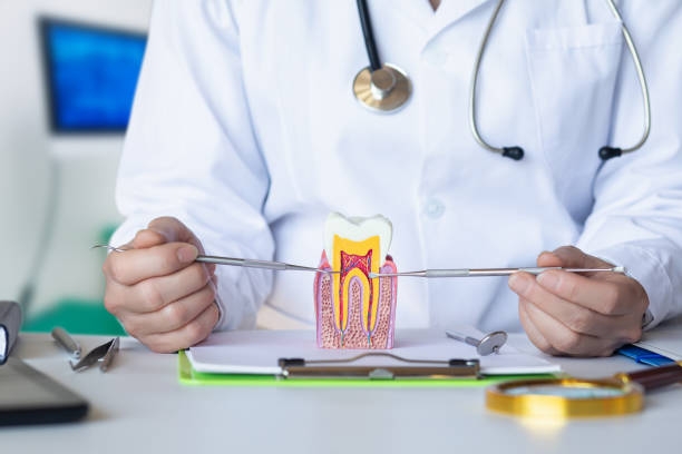 Best Emergency Dental Care for Broken or Chipped Teeth in Pauls Valley, OK